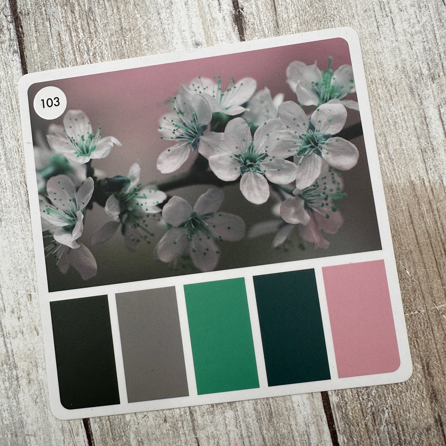 Mystery Yarn Club- January