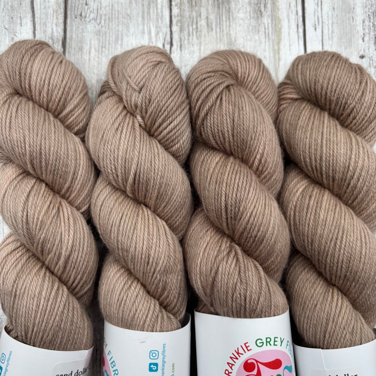 Dk | Sand Dollar 4 Pack
