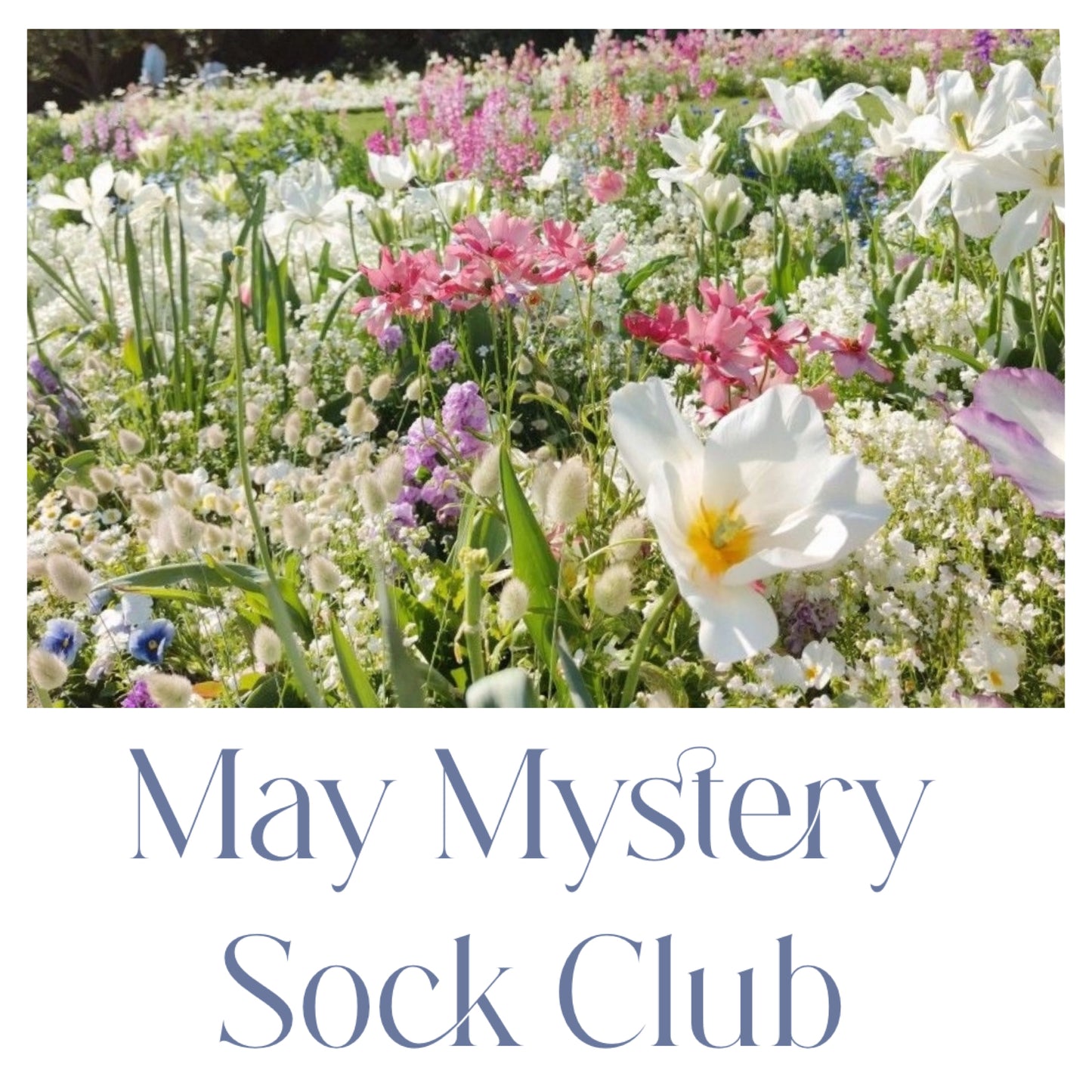 Mystery Sock Club- May