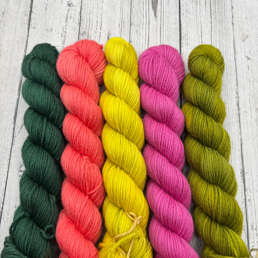 Evergreen, Citron, Magenta, Grasshopper, Fire 5 Pack