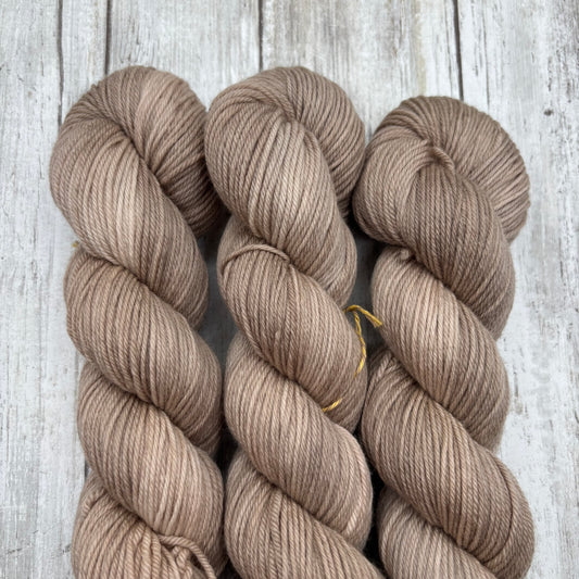 Sand Dollar 3 Pack Oopsies