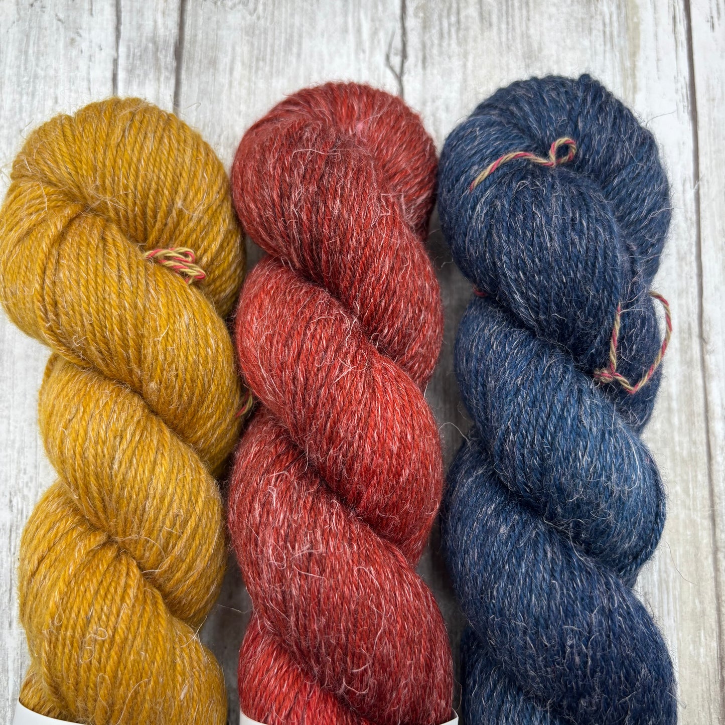 Ochre, Pumpkin, Midnight 3 Pack